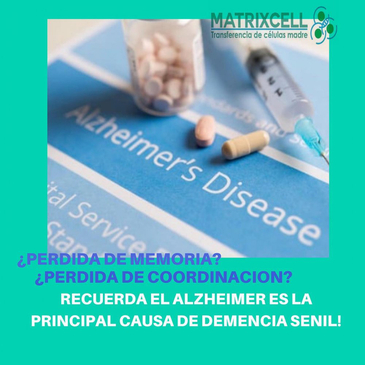 Slider image (6) MatrixCell